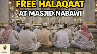 How to Register for FREE Quran and Mutoon Halaqaat at Masjid an-Nabawi - In Person and Online