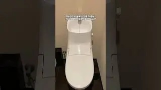 Japanese Toilet and Water Usage Efficiency!