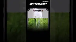 iPhone 14 Pro Max Highlight