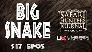 Massive African Python Snake Catch & Release - Safari Hunter’s Journal