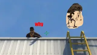 why (CSGO)