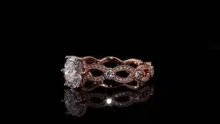 Rose Gold Catalog 360 Video