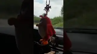 Мусофирлар