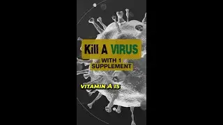 Cheapest Immunity Booster