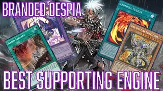 YUGIOH Tutorial Tuesdays:  SUPPORTING Branded Despia