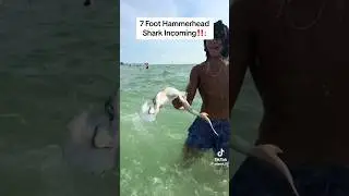 Man Grabs Shark, Then He Did This…. #animals #seacreaturess #shark #sharks #fish