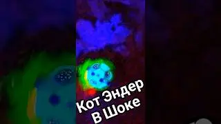 Боятся ли Коты Эпелептиойдных Шаров???