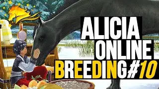 Alicia Online Breeding ｜Breeding Compilation #10