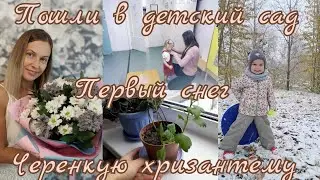 Аришка пошла в садик! Черенкую хризантему🪴Первый снег🌨