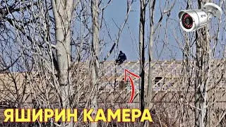 КЎШНИЛАР КАМЕРАГА ТУШУБ КОЛДИ ВАХХХ