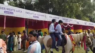 Usha martin school(La Fete Observed day)