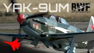 YAK-9UM ✈️ This is What Flying Inside a Soviet Warbird Looks Like!