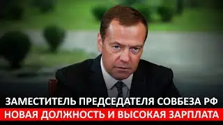 Названа Зарплата Медведева На Новой Должности!