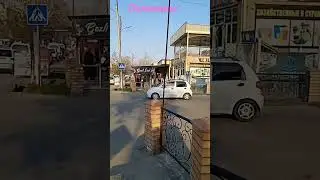 Пеликаны Киргили Фергана 