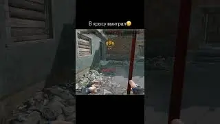 Как Селайнс учил 