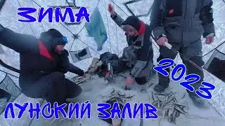Лунский залив зима 2023г