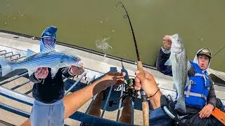 Step By Step Process To Fish For Striped Bass In The Bay Area...