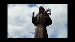 Белые лилии...