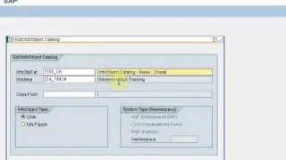 Create InfoObject Catalog - Characteristics