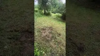 Money spot 🦌🦌 #deerhunting #deerhunter #bowhunting