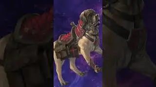 AJ Hacket: Mastiffs