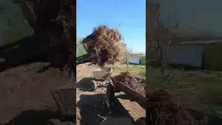 Вили для міні трактора ДВ 244
