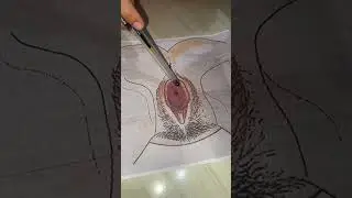 vid anfis organ reproduksi wanita ( Anggun Adhelia ) 241247