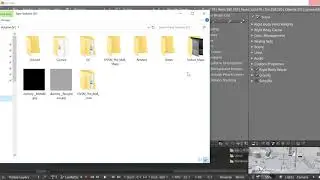 Daz to CC3 3.01 and iClone