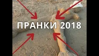 Стоит ли снимать пранки в 2018 году Как выбрать тематику канала на youtube
