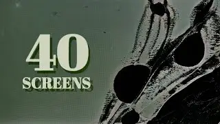 Cracking 40 LCD Screens