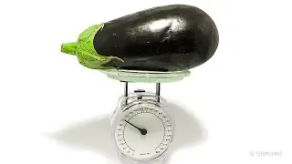 Rotting Eggplant On Scale Time-Lapse