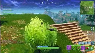 Best mates bush