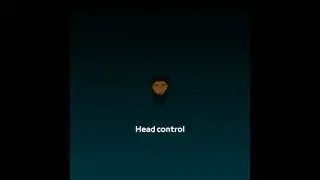Graal Era | Joystick with different heads