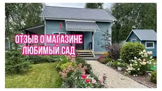 How did the SEEDLINGS from the Favorite Garden store take root | COTTAGE VLOG