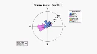 Dynamic Wind Rose