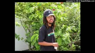 NEW EARL SWEATSHIRT SRS X KNXWLEDGE TYPE BEAT