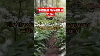 WOODLAND Photo IDEA in 15 SECONDS! #shorts #woodlandphotography
