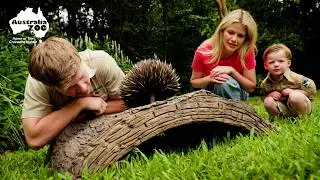 Robert Irwin Introduces Witney Carson to Australian Animals!