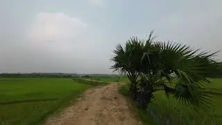 গ্রাম বাংলা।  সোনার বাংলাদেশ