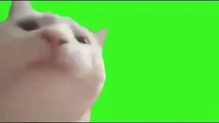 Cat Vibing | ievan polkka | GreenScreen | Meme Template Free