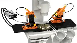 The Mosquito sensor in action