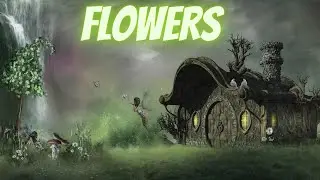 Flowers by QU4NTUM Sounds (No Copyright Music)