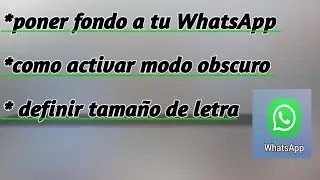Como configurar a tu gusto WhatsApp