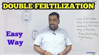 #boards #NEET Easy Way to Understand Double Fertilization in Angiosperms || Most Important Topic