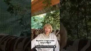 Является ли богатство искусством? 