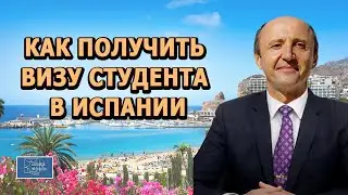 КАК ПОЛУЧИТЬ ВИЗУ СТУДЕНТА В ИСПАНИИ | Актио Легис Адвокаты в Испании