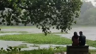 Bristi status ❤️ rain status ❤️ Couple status ❤️ Romantic Status ❤️ WhatsApp