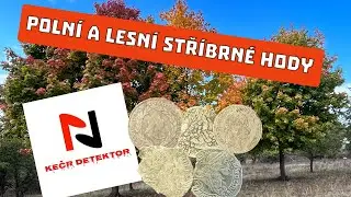Polní a lesní stříbné hody