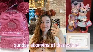 let's go shopping at disneyland!