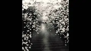 Patricia Spero - Healing Journey